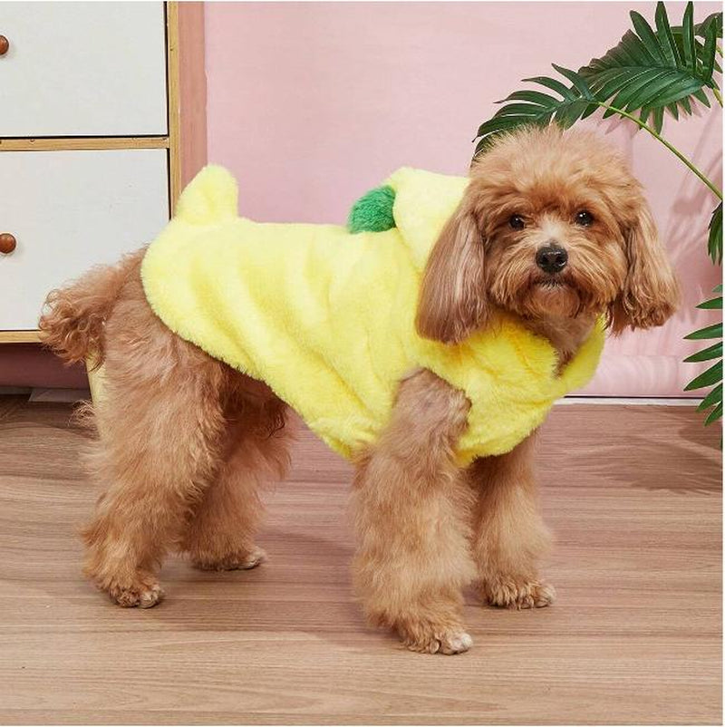 Factory Stock Pet Supplies Coral Fleece Dinosaur Costume for Dogs and Cats - Autumn/Winter Cosplay